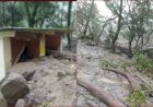 उत्तराखंड: कुमायूं में बारिश मे फिर मची तबाही, दुकान और जीप बही