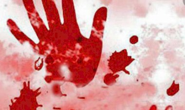 देहरादून: बुजुर्ग महिला प्रोफेसर की हत्या से सनसनी