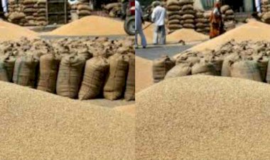 उत्तराखंड में भी मंडी का एकाधिकार समाप्त, विधानसभा से बिल पास