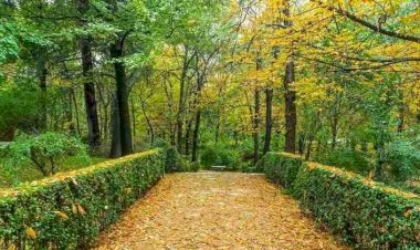 जैव विविधता संरक्षण की दृष्टि से भराड़ीसैंण में नेचर पार्क विकसित करेगा वन विभाग