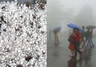 उत्तराखंड के इन पांच जिलों में भारी बारिश की चेतावनी, ओलावृष्टि और बर्फबारी को लेकर भी अलर्ट