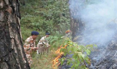 आईटीबीपी के जवानों ने बुझाई जंगल में लगी आग