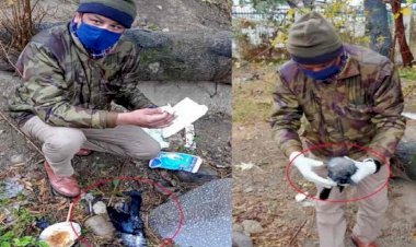 उत्तराखंड: यहां SSP कार्यालय परिसर में मरे मिले दो कौए, मचा हड़कंप