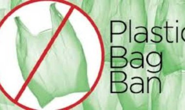 उत्तराखंड में इस दिन से पूरी तरह से बैन हो जाएगा सभी तरह के प्लास्टिक कैरी बैग का उपयोग