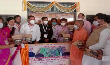 सीएम योगी ने किया विंध्य ब्लैक राइस का शुभारंभ, किसानों के लिए होगा फायदेमंद