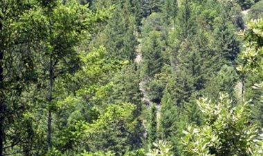 इस परियोजना में उत्तराखंड को मिले 950.80 करोड़, पहली बार मिली इतनी धनराशि