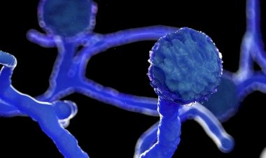 उत्तराखंड के इस अस्पताल में बढ़ रही है फंगस के मरीजों की संख्या