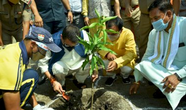 हरेले के अवसर पर सीएम धामी ने यहां किया वृक्षारोपण