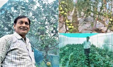 इस किसान ने 15-20 हजार सालाना से साढे़ तीन लाख सालाना ऐसे पहुंचाई अपनी कमाई