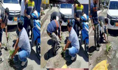 देवाल:  गड्ढे नहीं भरे तो विधायक की कार के आगे सड़क पर ही रोप दिए पौधे