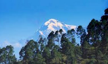 बिनसर अभयारण्य इको सेंसिटिव जोन घोषित, अधिसूचना जारी