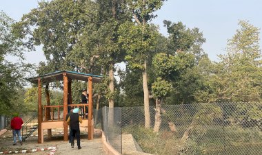 खटीमा को ऐतिहासिक सौगात देंगे सीएम धामी, सुरई इकोटूरिज्म जोन' में जंगल सफारी और 'ककरा क्रोकोडाइल ट्रेल' का करेंगे लोकार्पण