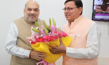 गृह मंत्री से मिले सीएम धामी, हिम प्रहरी योजना के लिए मांगा सहयोग