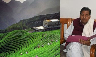 मंत्री चंदन राम दास के निर्देश पर सोमवार से खुलेगी 8 साल से बंद कौसानी टी फैक्ट्री