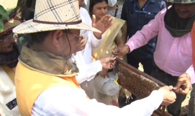 मुख्यमंत्री आवास में निकाला गया 25 किलो शहद