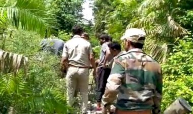 झपट्टा मार कर बाइक सवार युवक को उठा ले गया बाघ
