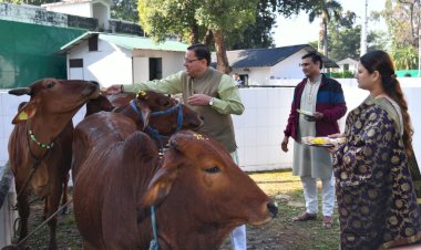 गोवर्धन पूजा के अवसर पर सीएम ने की मुख्यमंत्री आवास में गायों की पूजा