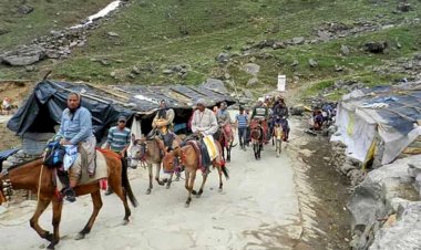 केदारनाथ और यमनोत्री में घोड़ा-खच्चर, हेली और डंडी-कंडी से 211 करोड़ का कारोबार