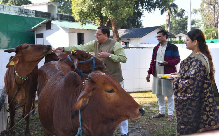गोवर्धन पूजा के अवसर पर सीएम ने की मुख्यमंत्री आवास में गायों की पूजा