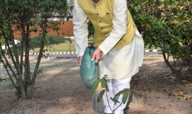 सीएम ने आवास में लगाया राज्य वृक्ष बुरांश