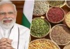पीएम मोदी ने सांसदों से 2023 को मोटे अनाज के वर्ष के रूप में बनाने को कहा