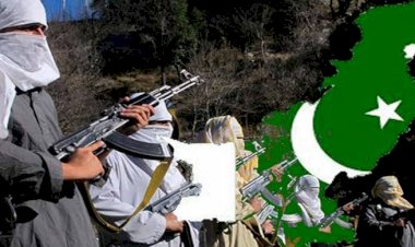 पाकिस्तान को लेकर आखिर कई देश क्यों दे रहे हैं चेतावनी