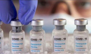 कोविड अपडेट : 250 मिलियन कॉर्बेवैक्स, कोवाक्सिन स्टॉक में, डिस्पैच के लिए तैयार