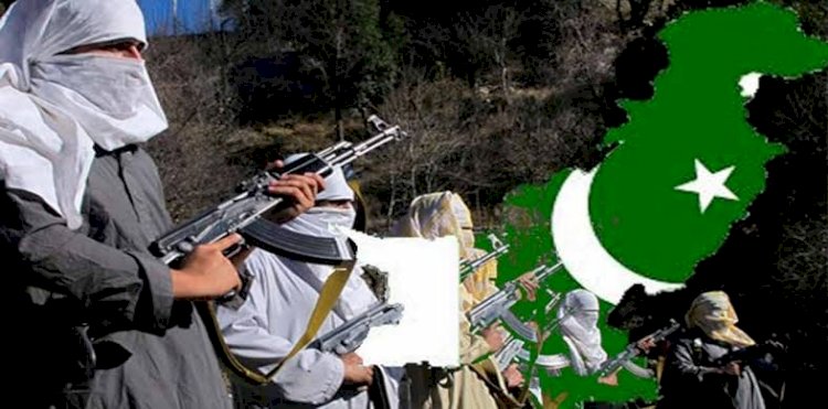 पाकिस्तान को लेकर आखिर कई देश क्यों दे रहे हैं चेतावनी