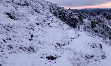 बर्फबारी से गुलजार हुईं उत्तराखंड की पहाड़ियां