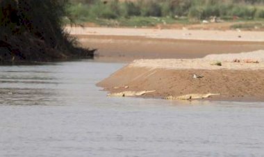 पंजाब सरकार का बड़ा फैसला, अब कोर नदी क्षेत्रों में कोई खनन नहीं होगा