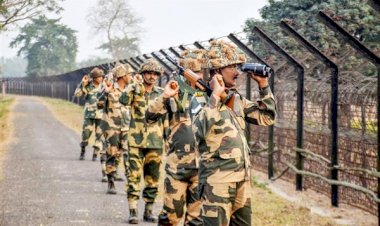 पंजाब के फिरोजपुर सेक्टर में बीएसएफ ने पाकिस्तानी घुसपैठिए को गिरफ्तार किया