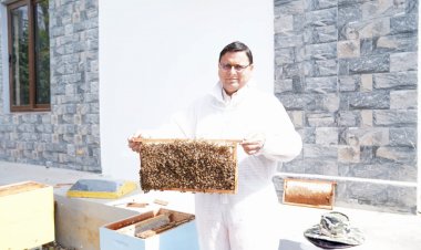 उत्तराखंड:  सीएम आवास में 40 किग्रा शहद का उत्पादन