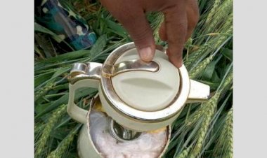 बीएसएफ ने खेत में पड़े चाय के कंटेनर से बरामद की हेरोइन