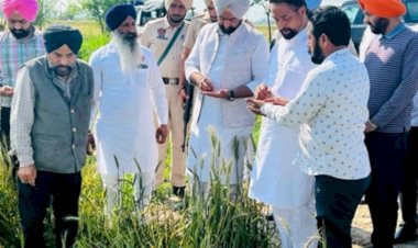 मुख्यमंत्री भगवंत मान ने विधायकों से गेहूं की फसल के नुकसान की राहत में तेजी लाने को कहा