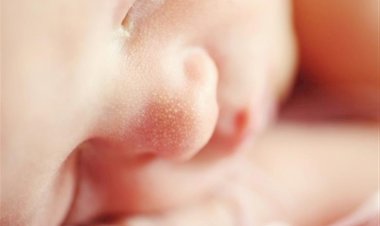 फ़िनलैंड की जन्म दर 1776 के बाद से रिकॉर्ड स्तर पर सबसे कम हो गई है