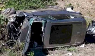 अनियंत्रित कार खाई में गिरी, आप नेता समेत दो की मौत