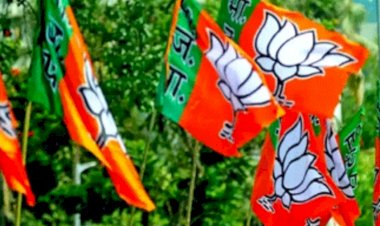 अदालत के जमानत आदेश को गुमराह कर पेश कर रही ‘आप’: भाजपा