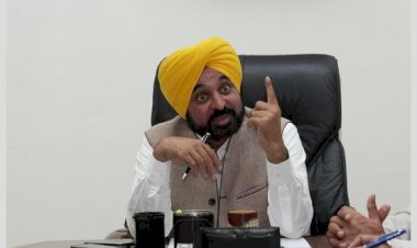 पंचायत, शामलात व वन विभाग की जमीनें 31 मई तक नि:शुल्क करें, नहीं तो होगी सख्त कार्रवाई : सीएम मान