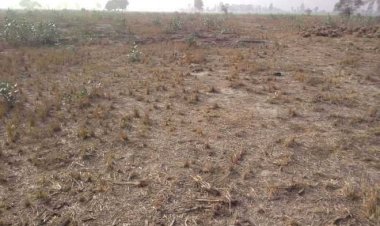 पर्ल लैंड घोटाले की जांच करेगा विजिलेंस ब्यूरो