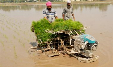 फाजिल्का जिले ने धान की सीधी बिजाई का लक्ष्य हासिल कर लिया