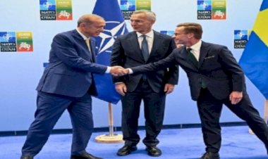 शिखर सम्मेलन में तुर्किये ने स्वीडन की नाटो सदस्यता पर जताई सहमति