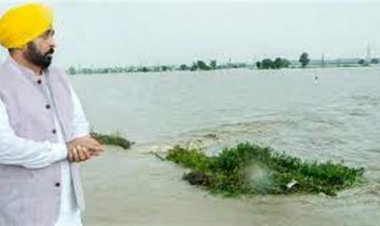 सीएम भगवंत मान  के निर्देश पर पंजाब सरकार बाढ़ प्रभावित क्षेत्रों में राहत कार्य के लिए 71.50 करोड़ रुपये  की राशि और जारी करेगी: जिम्पा