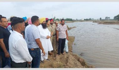 भगवंत मान सरकार बाढ़ से हुए किसानों के नुकसान की भरपाई के लिए प्रतिबद्ध - कृषि मंत्री गुरमीत सिंह खुड्डियाँ