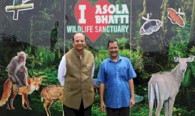 दिल्ली में तेजी से विकास के बावजूद हरित आवरण बढ़ रहा है: सीएम केजरीवाल