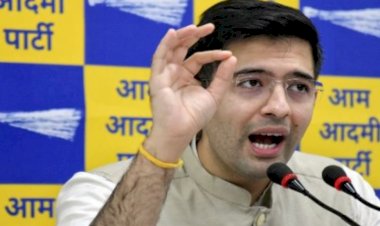 आम आदमी पार्टी सांसद राघव ने की बीजेडी और वाईएसअरसीपी पर कसा तंज