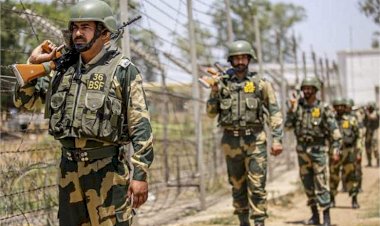 बीएसएफ ने फिरोजपुर में हथियार, मोबाइल और नकदी बरामद,  2 संदिग्धों को पकड़ा