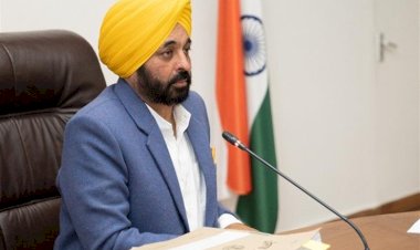 पंजाब कैबिनेट ने 15 अगस्त तक बाढ़ से तबाह जिलों की विशेष गिरदावरी कराने को मंजूरी दी