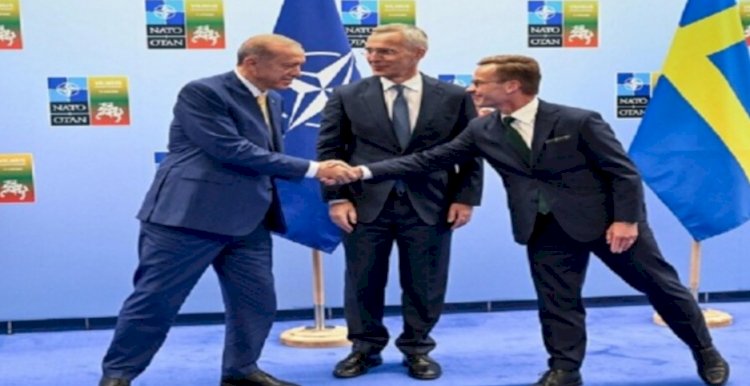शिखर सम्मेलन में तुर्किये ने स्वीडन की नाटो सदस्यता पर जताई सहमति