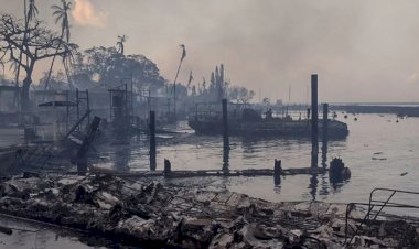 अमेरिका के हवाई जंगल आग में मरने वालों की संख्या बढ़कर 53 हो गई