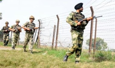 पंजाब के पठानकोट में बीएसएफ ने पाकिस्तानी घुसपैठिये को मार गिराया